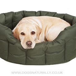 Oval Dog Beds